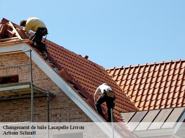 Changement de tuile  lacapelle-livron-82160 Artisan Schmitt